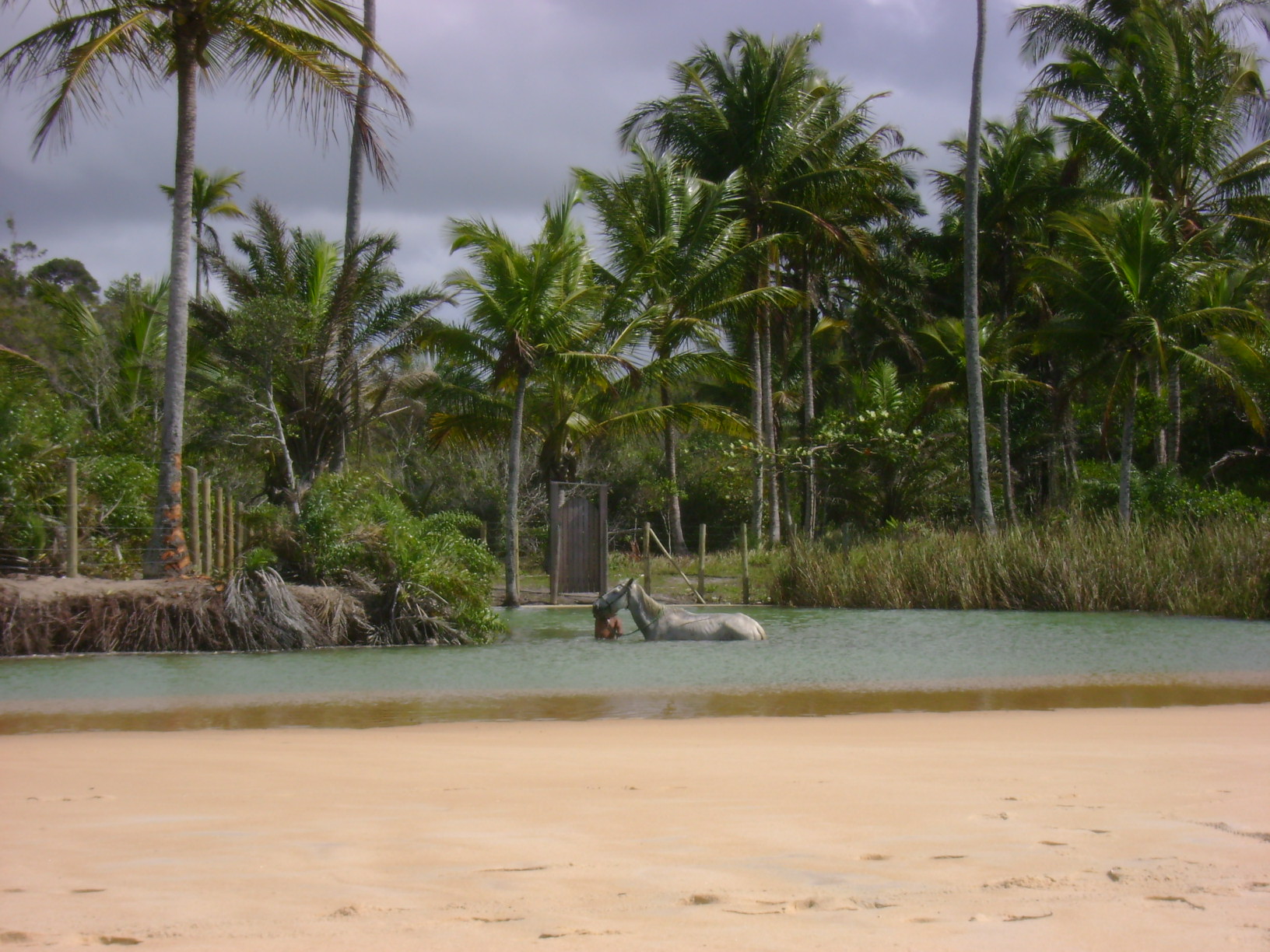 Trancoso: a pé de Arraial d'Ajuda a Trancoso - Viaggiando